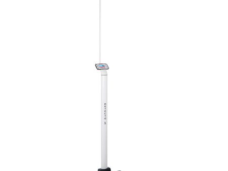 Detecto Physician Scale Sonar Height Rod with Welch Allyn CVSM CSM Connectivity on Sale