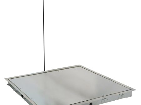 Detecto Solace In-Floor Stainless Steel Dialysis Scale with Printer - 48  x 48  SS Deck Supply