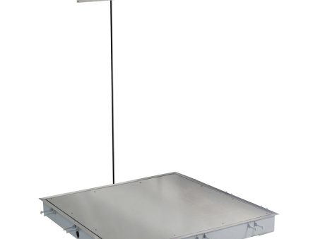 Detecto Solace In-Floor Stainless Steel Dialysis Scale with Printer - 36 x 36  SS Deck Sale