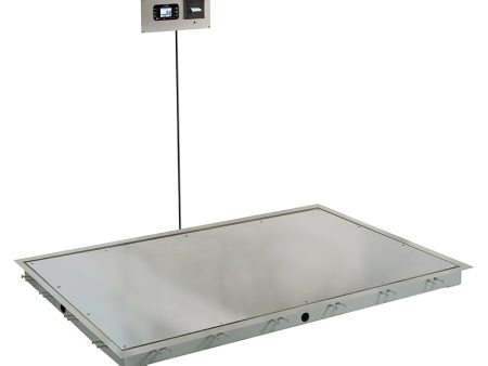 Detecto Solace In-Floor Stainless Steel Dialysis Scale with Printer - 72  x 48  SS Deck Online now