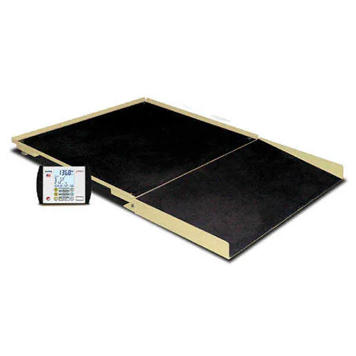 Detecto 4  x 4  Floor Scale with Ramp and MV1 Indicator - Black, 1,000 lb x 0.2 lb Sale