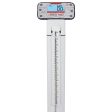 Detecto APEX Physician Scale Mechanical Height Rod With Welch Allyn CVSM CSM Connectivity Discount