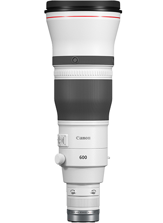 Canon RF 600mm F4 L IS USM Lens Supply