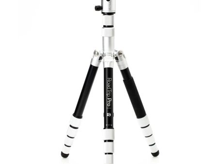 Benro MeFOTO RoadTrip Pro Aluminum Series 1 Travel Tripod with Ball Head and Monopod (Silver)  BMRTPROASLV Online