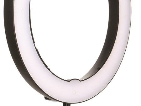 Smith Victor 19  Bi-Color LED Ring Light Online